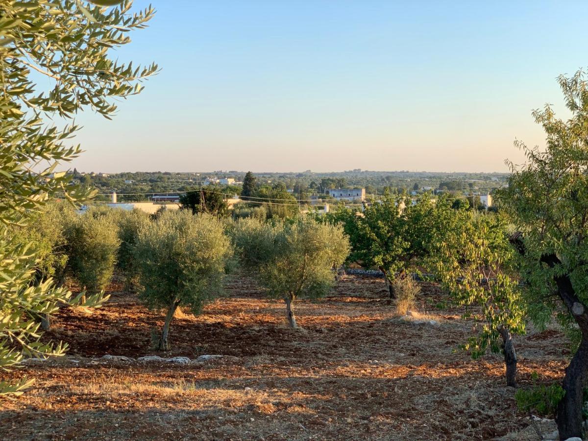 San Bartolomeo Holiday home Monopoli